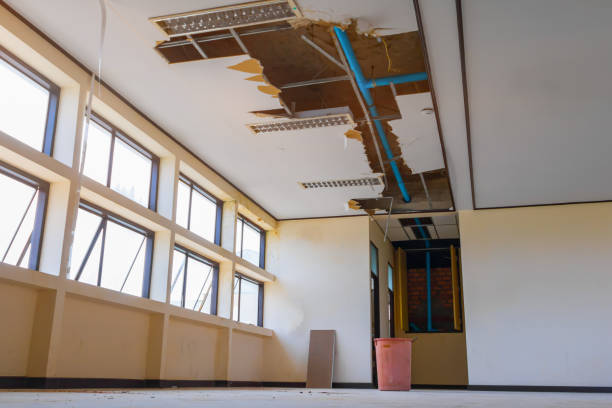 Water damage restoration mold remediation in ND