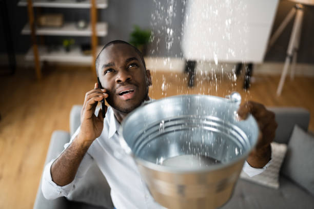 Best Water damage restoration mold remediation  in Belcourt, ND