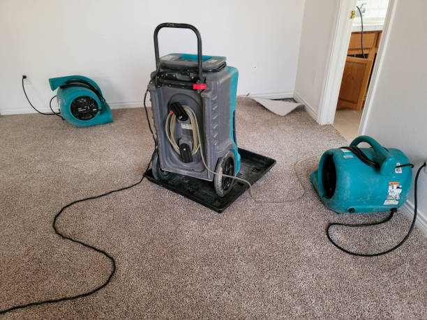 Best Water damage contractors near me  in Belcourt, ND