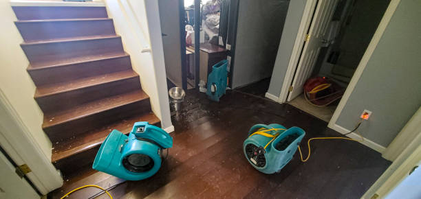 Best Commercial water damage restoration  in Belcourt, ND