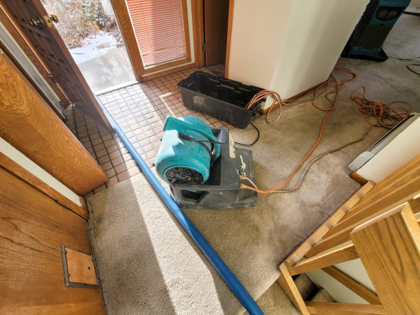 Best Basement water damage restoration  in Belcourt, ND