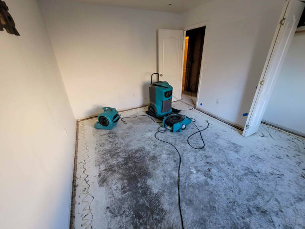 Best Local water damage restoration  in Belcourt, ND