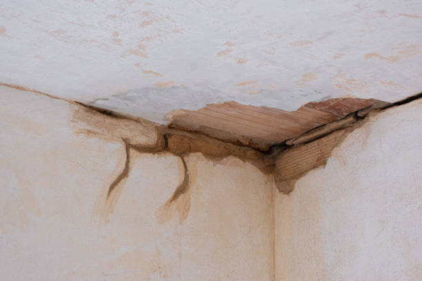 Best Flood damage cleanup  in Belcourt, ND