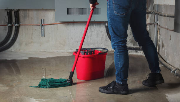 Best Basement water damage restoration  in Belcourt, ND