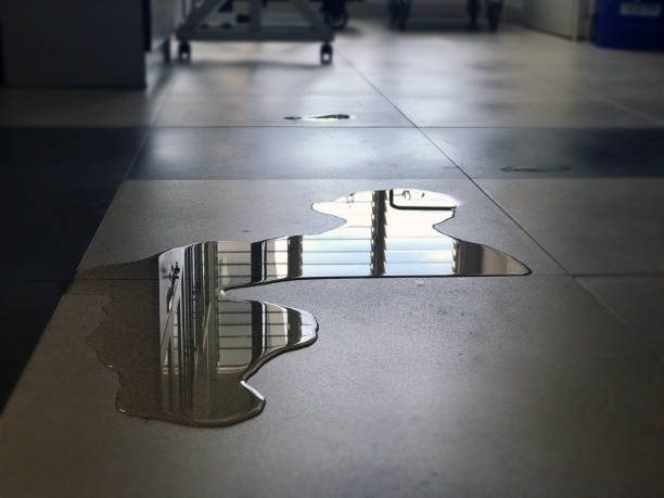 Best Water damage repair service  in Belcourt, ND