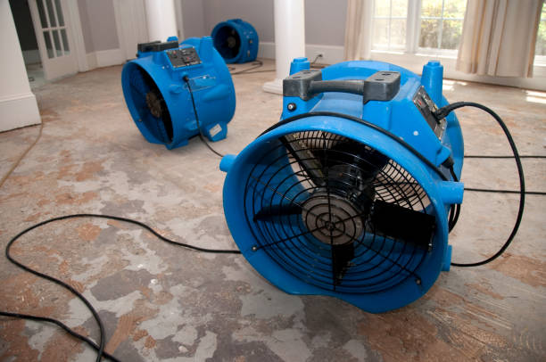 Best Ceiling water damage repair  in Belcourt, ND