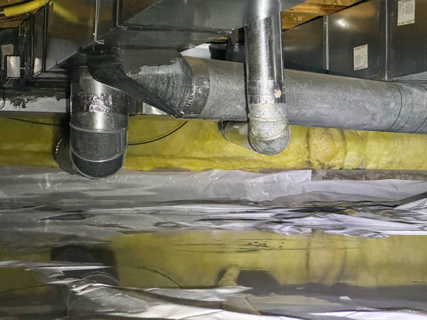 Best Flood restoration services  in Belcourt, ND