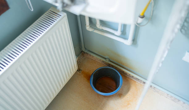 Best Water damage cleanup near me  in Belcourt, ND